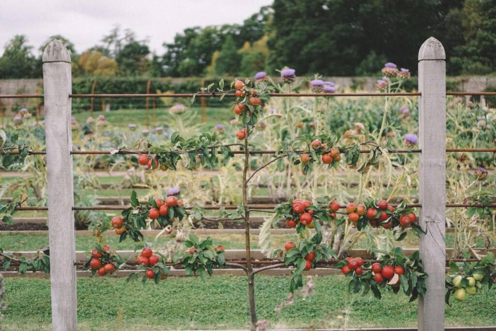Garden Cottage, フォッシャバーズ エクステリア 写真